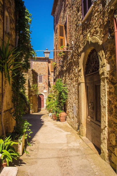istock Street in Montemerano, Tuscany 1302761516