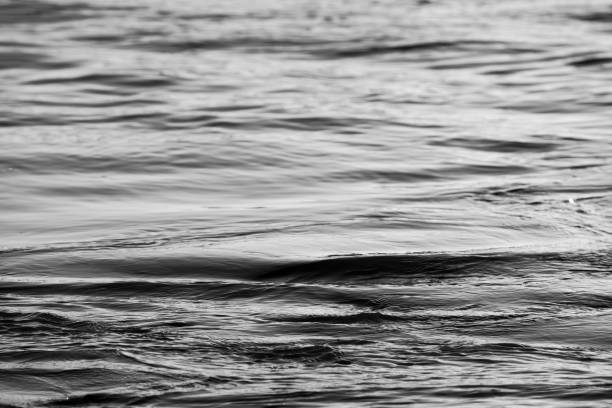 Floodwater at dusk at St Ives with late afternoon winter sunlight.