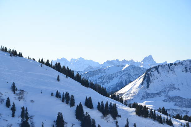 istock European Alps Winter Landscape 1302762844