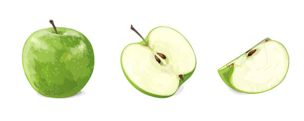 Green apple with two slices isolated on white background. Vector illustration Green apple with two slices isolated on white background. Vector illustration green apple slices stock illustrations