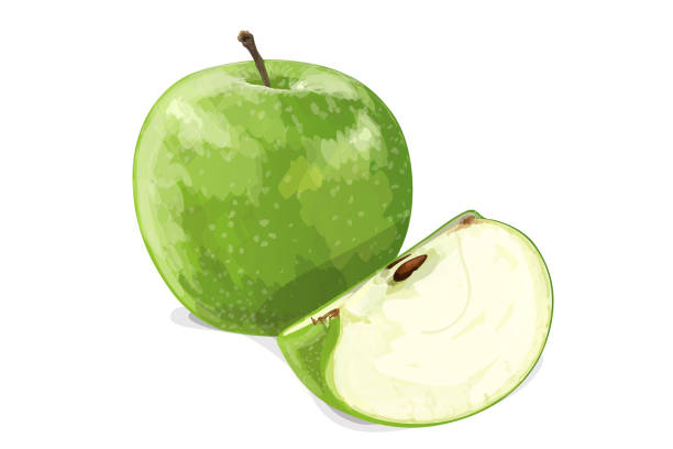 Green apple with slice isolated on white background. Vector illustration Green apple with slice isolated on white background. Vector illustration green apple slices stock illustrations