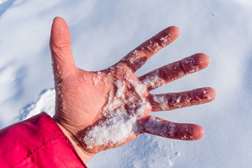A man holds a handful of fresh snow in his frozen hand in winter
