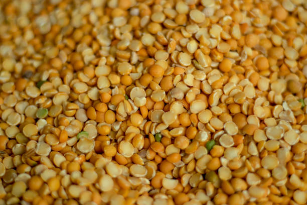 istock Commonly known as garbanzo beans or chickpeas or Chana Dal 1302768352
