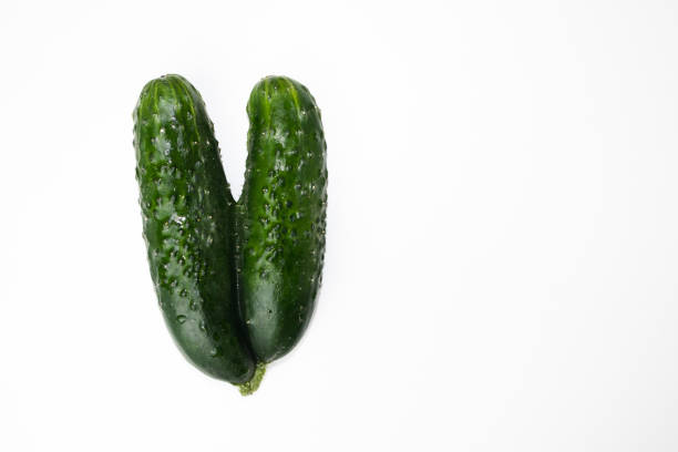 istock Two cucumbers fused together. White background. 1302769705