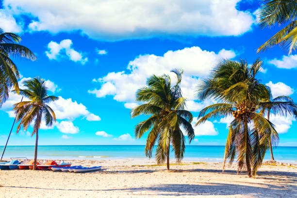 la playa tropical de varadero en cuba con veleros y palmeras en un día de verano con agua turquesa. antecedentes vacacionales. - varadero beach fotografías e imágenes de stock