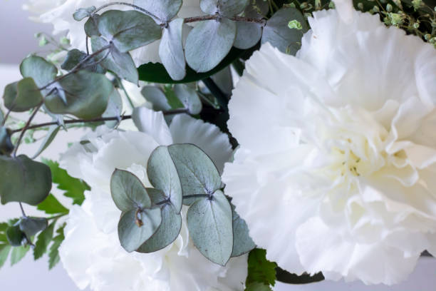 istock white flowers bouquet with eucalyptus leaves 1302777527