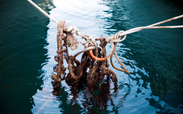 istock Abstract Connection of Rope Lines 1302779333