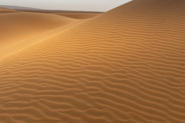 istock Sand dunes in Sahara desert, Tagounite, Morocco 1302781565