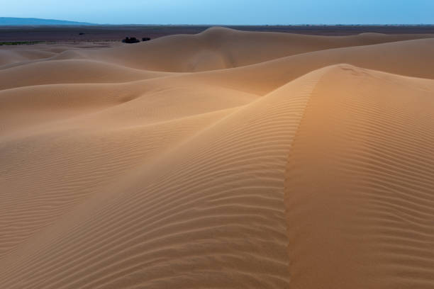 istock Sand dunes in Sahara desert, Tagounite, Morocco 1302781608