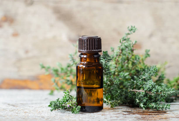 istock Small bottle with essential thyme oil (extract, tincture, infusion, perfume). Aromatherapy, spa and herbal medicine ingredients. Old wooden background. Copy space 1302781903