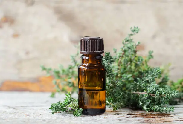 Small bottle with essential thyme oil (extract, tincture, infusion, perfume). Aromatherapy, spa and herbal medicine ingredients. Old wooden background. Copy space