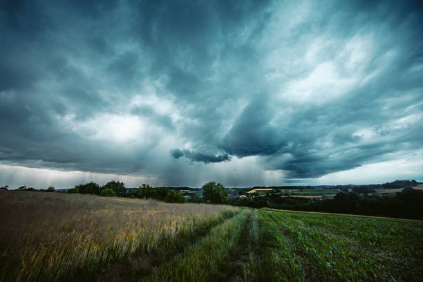 paesaggio nuvoloso sul campo d'erba - storm wheat storm cloud rain foto e immagini stock