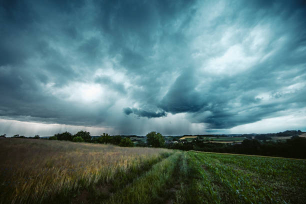 cloudscape over grass field - fotos de wheat imagens e fotografias de stock