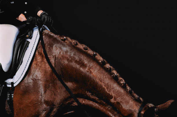Person holding reins while riding horse