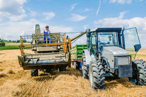 Male farmer operating combine harvester pouring grain into tractor at field