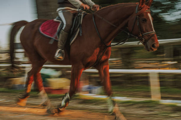 Karaman,Türkiye,September 8, 2018: Traditional horse archery competition