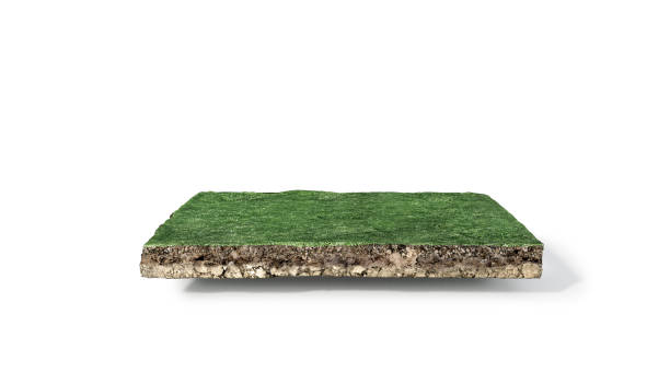 istock Piece of ground with grass isolated on a white background. 3d illustration 1302785558