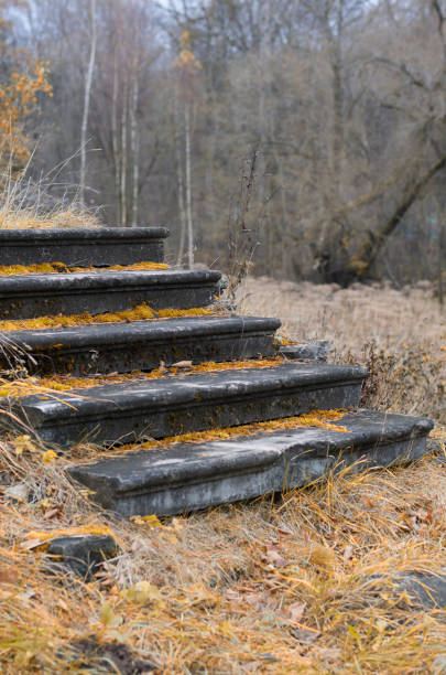 istock Five-step staircase covered with moss in the autumn 1302787526