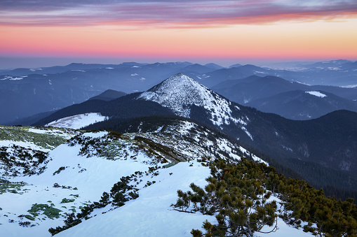 Winter. Aerial view. Amazing sunrise. High mountains with snow white peaks. A panoramic view of the covered with frost trees in the snowdrifts. Winter. Natural landscape with beautiful sky.