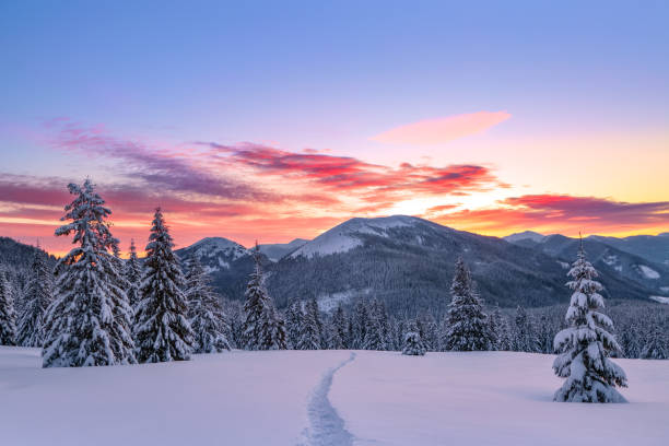 impressionnant lever de soleil. hautes montagnes avec des sommets blancs de neige. forêt d’hiver. une vue panoramique des arbres couverts de givre dans les congères. paysage normal avec le beau ciel. - frozen ice sky sun photos et images de collection