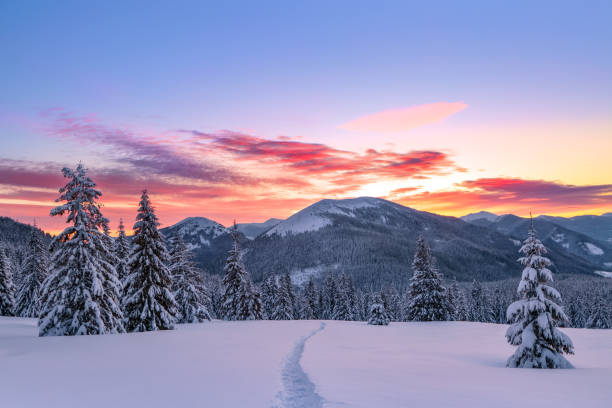멋진 일출. 눈 덮인 흰색 봉우리와 높은 산. 겨울 숲. 눈덮인 서리로 덮인 파노라마 경관. 아름다운 하늘과 자연 경관. - 알래스카 뉴스 사진 이미지