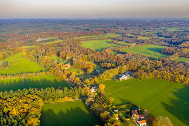 istock Clearings in the forest of Veluwe 1302792475