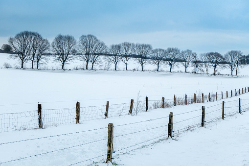 Snowy landscape in a hilly area with a row of trees in the background. In the foreground a fence with barbed wire
