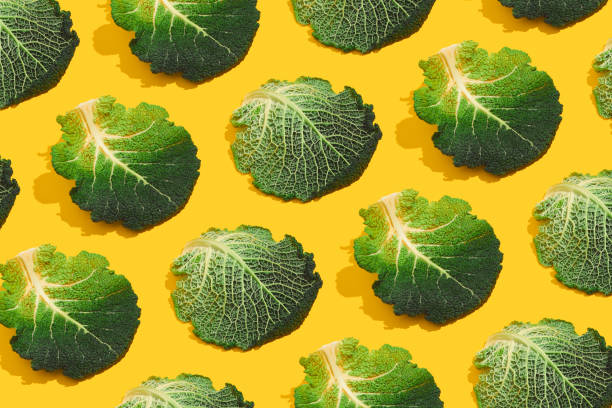 istock Cabbage leaves on yellow background. Savoy cabbage minimal pattern. Garden, spring, summer, grow concept 1302793397