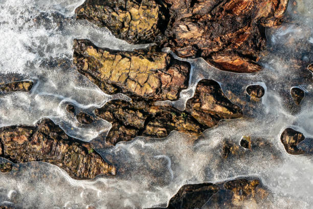 Close-up of ice accretion on tree bark