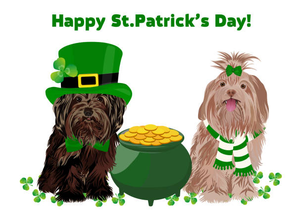 ilustraciones, imágenes clip art, dibujos animados e iconos de stock de perros lindos con traje de duende con olla de oro. feliz día de san patricio. mascotas, vacaciones del día de san patricio, banner tema del folclore irlandés, tarjeta de felicitación. - st patricks day dog irish culture leprechaun