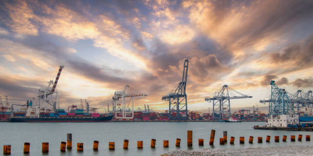 istock Logistics and container loading by large barges by sea in a harbor full of containers waiting to be transported 1302794141