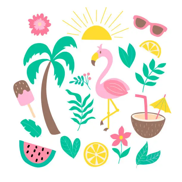 Vector illustration of Set of tropical vector elements on a summer theme isolated on a white background. For the design of covers, prints for t-shirts, packages