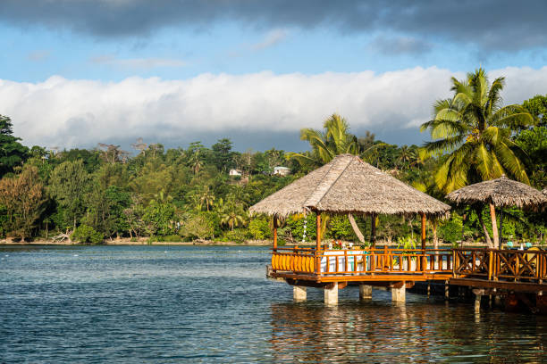 choza tropical en la laguna de port vila en vanuatu, en el pacífico sur - melanesia fotografías e imágenes de stock