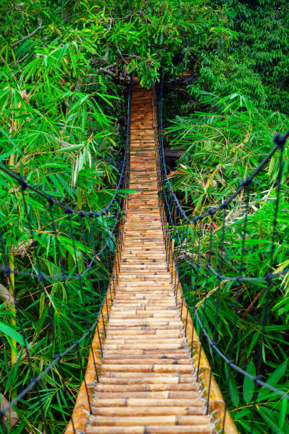 istock Suspension pedestrian bridge made from natural bamboo 1302806621