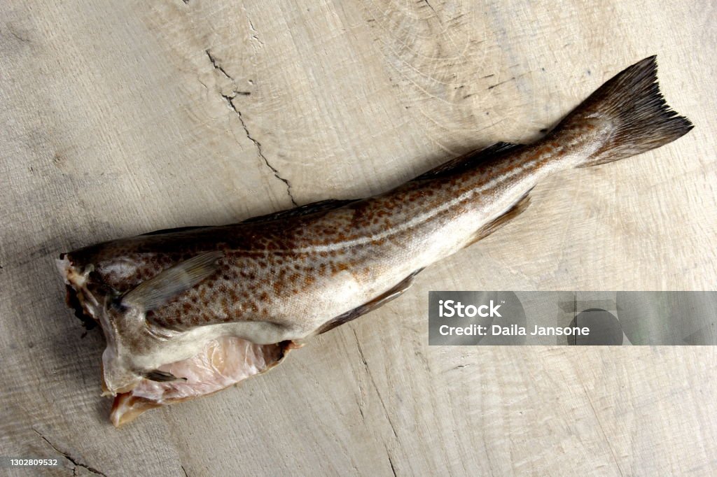 Fresh Whole Cod Fresh Whole Cod Without A Head Stock Photo - Download Image Now ...