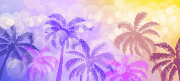 illustrazioni stock, clip art, cartoni animati e icone di tendenza di palme e bokeh vector abstract sfondo estivo - coastline branch day summer