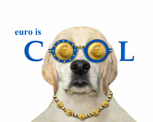 istock Dog2 in euro cool glasses 1302816722