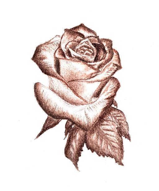 Drawings drawn by hand with pencils and markers.