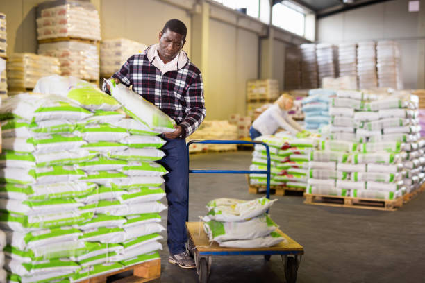 istock Confident African American warehouse worker loading sacks on trolley cart 1302822709