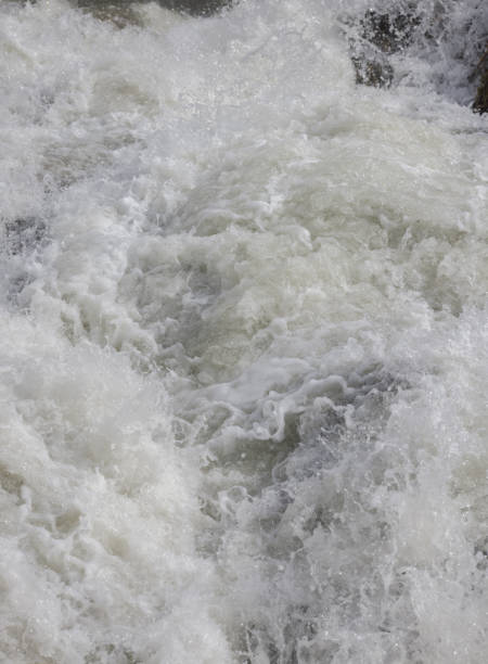istock a river in the nature and water background 1302823363