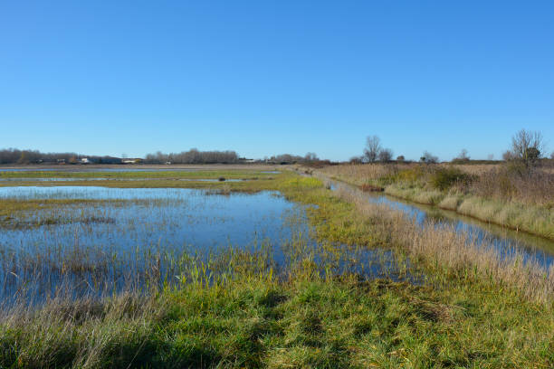 istock Grado Lagoon in Winter, Italy 1302825135