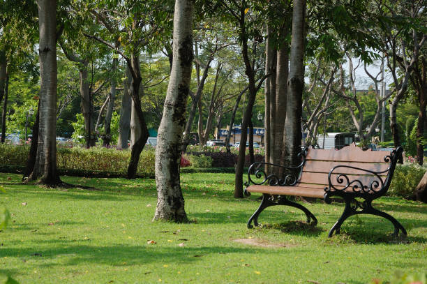 istock Empty bench in the public garden, place for relax. 1302826737