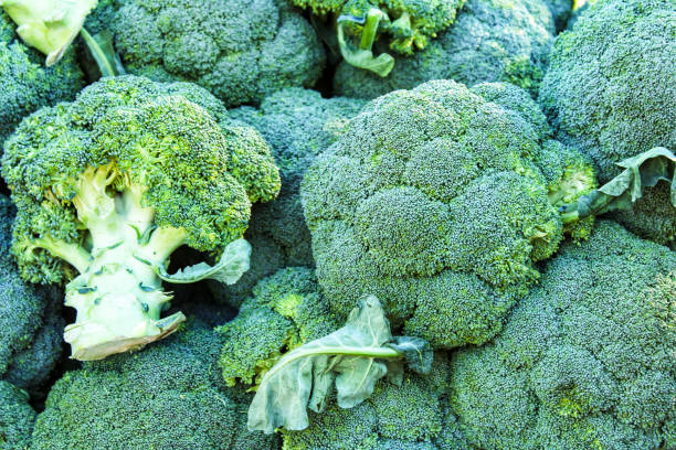 Broccoli for sale at a farmer market stall Broccoli for sale at a market stall in Santa Pola, Alicante Spain italica spain stock pictures, royalty-free photos & images