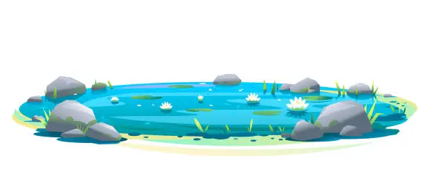 Vector illustration of Decorative pond with water lilies isolated