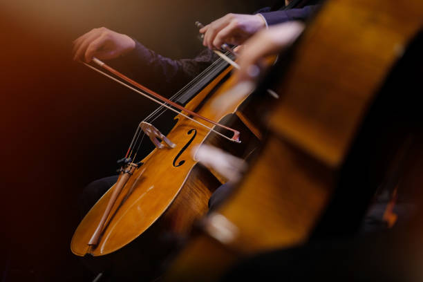 violoncelos e músicos - musical instrument - fotografias e filmes do acervo