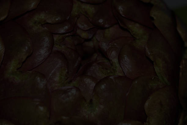 Dark textured artichoke background