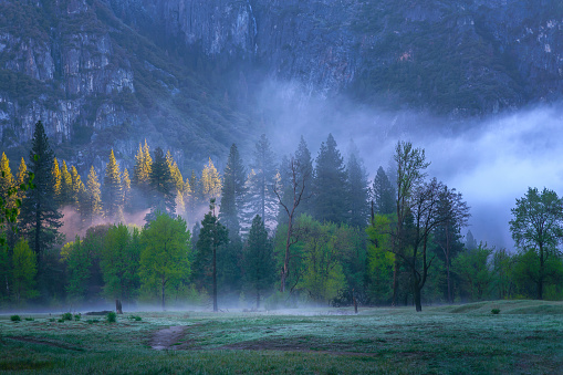 Yosemite