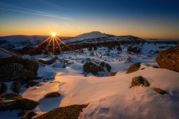 istock snowy landscape with trees and dwarf pine during sunset 1302835110