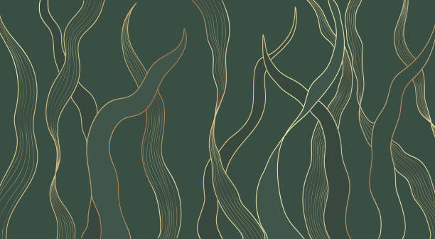 gold linie luxus natur floral blätter hintergrund vektor. abstrakte goldene split-blatt algen pflanze gefüttert kunst, - golden algae stock-grafiken, -clipart, -cartoons und -symbole