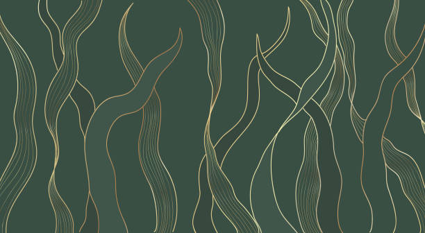 골드 라인 럭셔리 네이처 플로럴 잎 배경 벡터. 추상황금 분할 잎 해초 식물 안감 예술, - seaweed stock illustrations